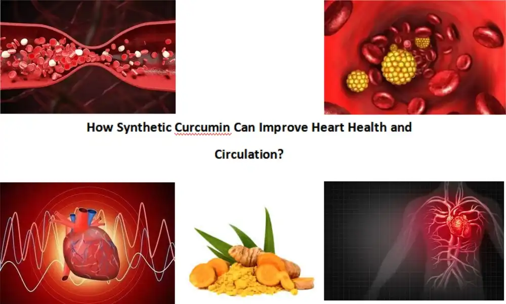 How Synthetic Curcumin Can Improve Heart Health and Circulation?
